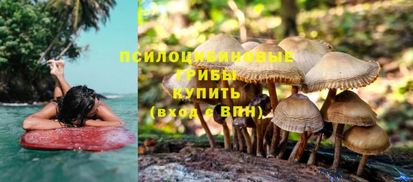 ECSTASY Саяногорск