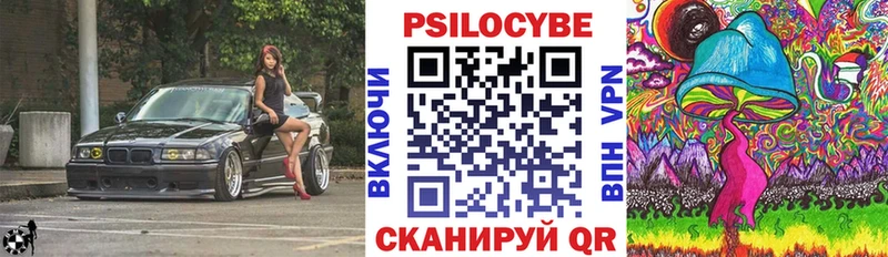 купить наркотики сайты  Александровск-Сахалинский  Галлюциногенные грибы мицелий 